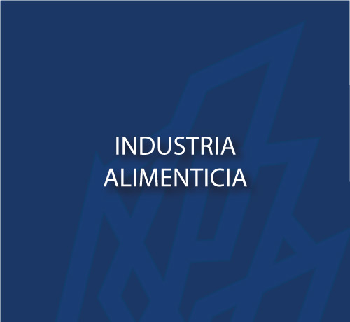 Industria Alimenticia Strokkur